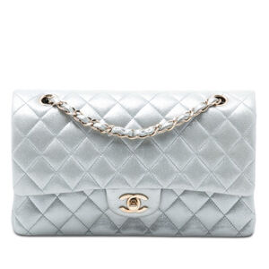 Pre-Loved Chanel Medium Classic Iridescent Lambskin Double Flap